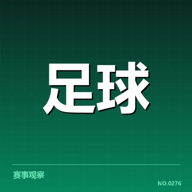 费内巴切转会动向:球队未来走向成疑